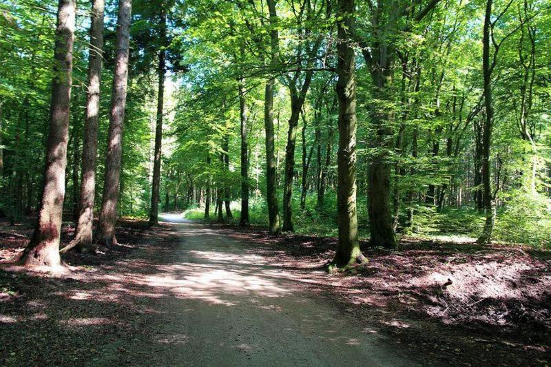 Chalet 'T Veluws Stulpje "Geniet, Ontspan En Droom Even Lekker Weg!" Putten Extérieur photo